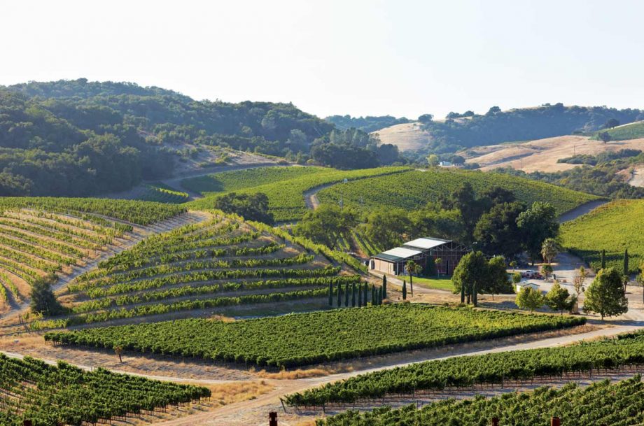 L'Aventure Winery, which benefited from its moisture-retaining limestone soils during the drought conditions of 2021