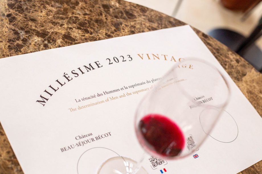 Bordeaux 2023 wine styles