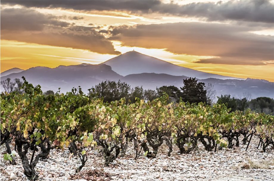 Southern Rhône 2022