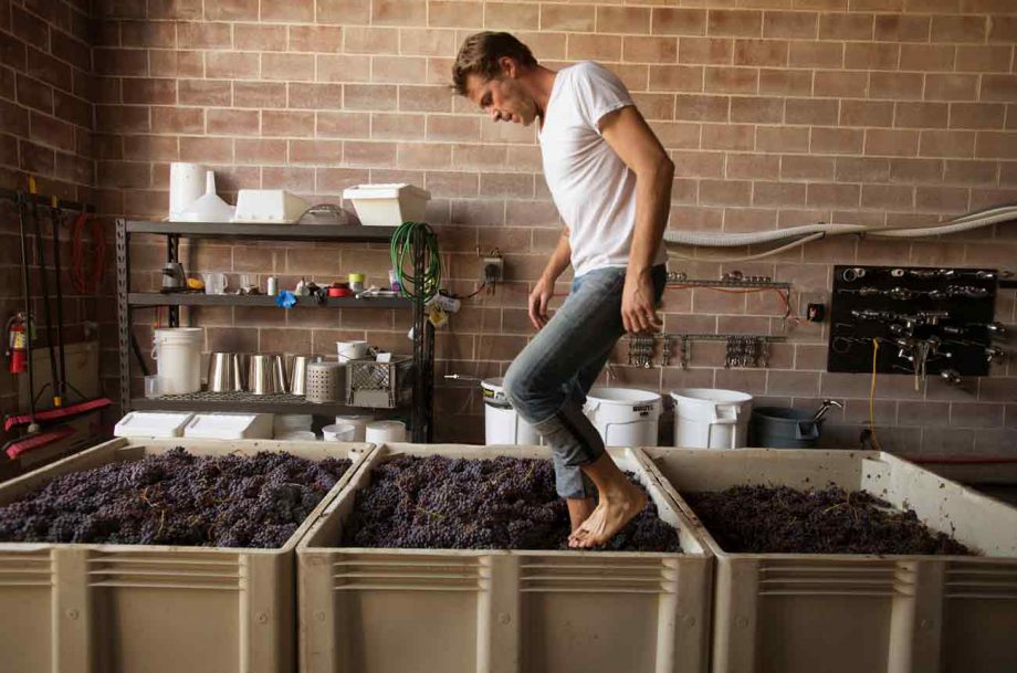 image of winemaker foot treading grapes